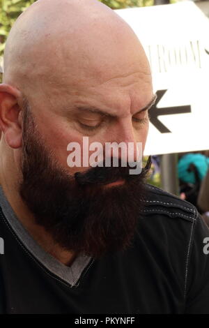 Bald white man with beard and handlebar moustache Stock Photo