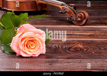 Pink rose and violin on wooden background. Stock Photo