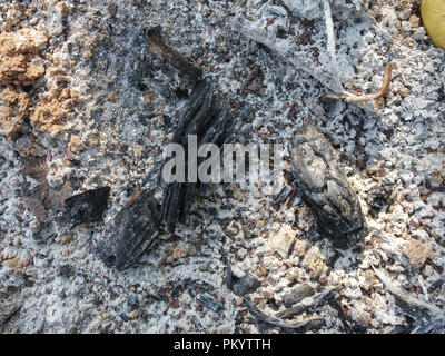 Detail of ashes, cinders, burnt coals in white sand.  Extreme dryness Stock Photo