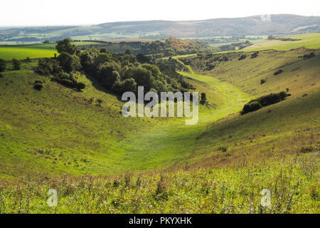 A dry chalk valley to the south of Amberley Mount on the South Downs, West Sussex, England, UK. Stock Photo