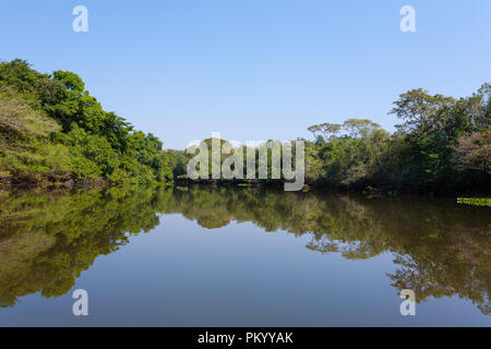 Panorama from Pantanal, Brazilian wetland region. Navigable lagoon. South America landmark Stock Photo