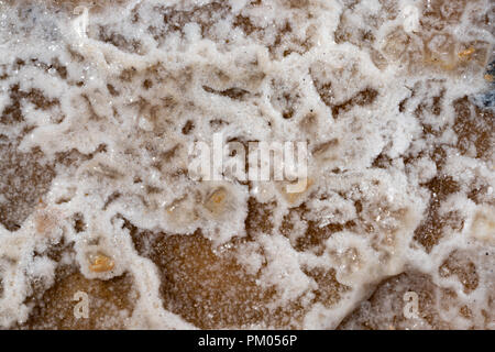 Close up of salt forming on the shore of the sea in Israel Stock Photo