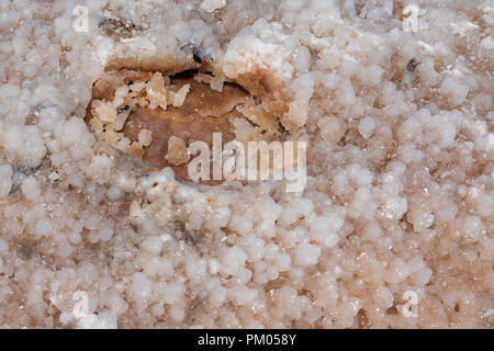 Salt formation on the beach at the edge of the shore in Jordan and Israel Stock Photo