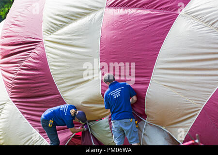 trinityballoons crew preparing hot air balloon at Longleat Sky Safari, Wiltshire, UK in September Stock Photo