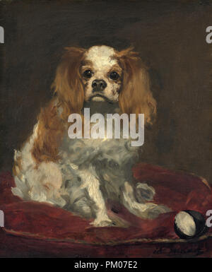 A King Charles Spaniel. Dated: c. 1866. Dimensions: overall: 46 x 38 cm (18 1/8 x 14 15/16 in.)  framed: 66 x 57.8 x 8.9 cm (26 x 22 3/4 x 3 1/2 in.). Medium: oil on linen. Museum: National Gallery of Art, Washington DC. Author: EDOUARD MANET. Stock Photo