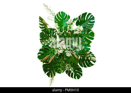 monster Leaves used in modern designs tropical leaves foliage plant bush floral arrangement nature backdrop isolated Stock Photo