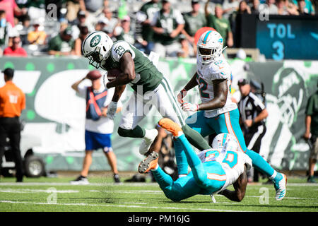 Miami Dolphins defensive tackle Raekwon Davis (98) is introduced during a  NFL football game against the Minnesota Vikings, Sunday, Oct.16, 2022 in  Miami Gardens, Fla. (AP Photo/Alex Menendez Stock Photo - Alamy