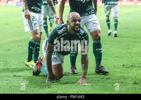 Felipe melo hi-res stock photography and images - Alamy