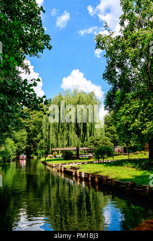 Magnificent meadows and moorland and fairytale idyll – Spreewald landscape, near Berlin, Germany Stock Photo