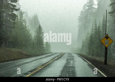 Driving through a heavy snow storm or blizzard on a wet road in the forest of Crater Lake National Park, Oregon, USA. Stock Photo