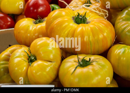 Fresh Yellow, Red & Orange Beef Tomatoes on Sale in Borough Market, Southwark, London UK Stock Photo