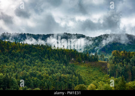 View of mountain landscape in Austria with coniferous forest in mist and haze under autumn sky with clouds Stock Photo