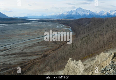 The Matanuska River channels near Palmer Alaska braid along a forested corner through a gravel river beds with a snowy Pioneer Peak in the distance Stock Photo