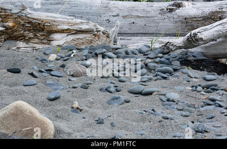 Rounded pieces of gray whacky rock lie on grey sand where their progress was stopped by a piece of sun and salt water bleached driftwood. Stock Photo