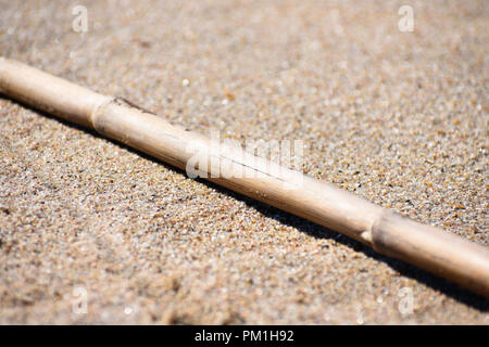 Washed-up Sugarcane (saccharum officinarum) On Beach Sand Stock Photo