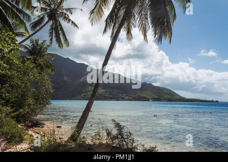 Moorea Island In The French Polynesia Stock Photo - Alamy