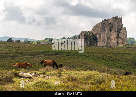 Horses pasturing in the plateau of Argimusco, in Sicily, with a natural megalith in the background Stock Photo