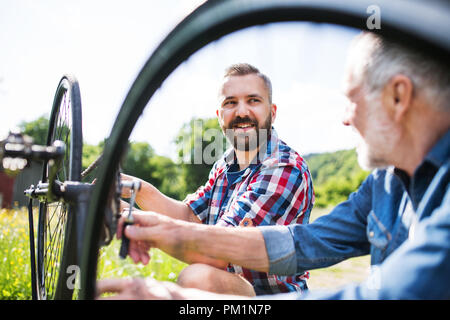 An adult hipster son and senior father repairing bicycle outside on a sunny day. Stock Photo
