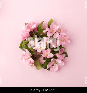 Festive flower apple tree composition on the pastel pink background. Overhead view Stock Photo