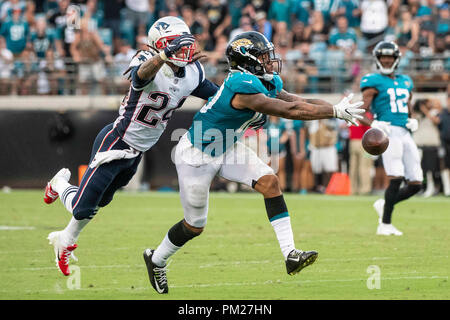 New England Patriots wide receiver Donte' Stallworth (19) makes a one  handed catch in front of Houston Texans cornerback Brandon Harris on a  63-yard touchdown reception in the third quarter at Gillette