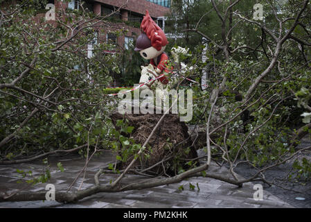 Hong Kong, New Territories, China. 17th Sep, 2018. Beijing 2008 Paralympics mascot surrounded by damaged trees after super typhoon, Mangkhut has passed Hong Kong.The super typhoon Mangkhut has passed next to Hong Kong on the 16th September causing large scale damages around the city, there are 432 people injured due to the storm with 2 still in critical condition. Credit: Miguel Candela/SOPA Images/ZUMA Wire/Alamy Live News Stock Photo