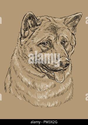 American akita vector hand drawing black and white illustration isolated on beige background Stock Vector