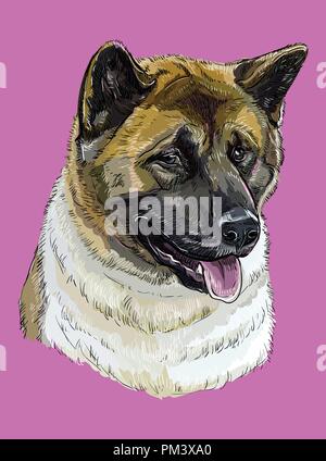 American akita vector hand drawing illustration in different color on pink background Stock Vector