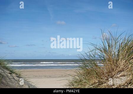 sand dune with grass at the noth sea Stock Photo