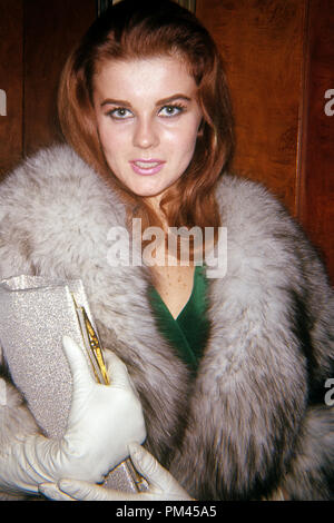 Ann-Margret, circa 1964. File Reference #1033 018THA © JRC /The Hollywood Archive - All Rights Reserved. Stock Photo