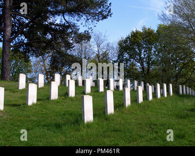 Commonwealth War Graves cemetery at Royal Victoria Country Park, Netley Abbey, Southampton, Hampshire, England, UK Stock Photo