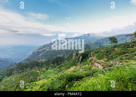 Morning panorama over a valley near Lipton's Seat, a high panoramic viewpoint in the tea plantation hills, Dambethenna, Haputale, Uva, Sri Lanka Stock Photo