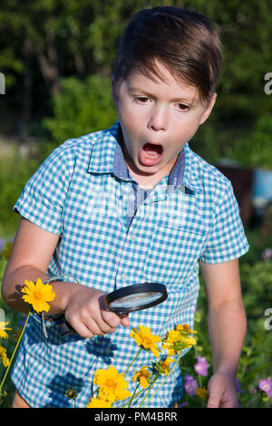 Shocked boy with magnifying glass in garden Stock Photo