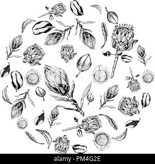 King protea flowers, buds and leaves items composed in circle shape. Protea, symbol of the South Africa, hand drawn in black and white. Stock Vector