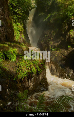 Aira Force waterfall on the Aira Beck, Lake District National Park, Cumbria, England, UK Stock Photo