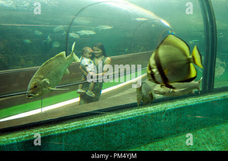 Thailand - Phuket - Aquarium - Thaï woman and child Stock Photo