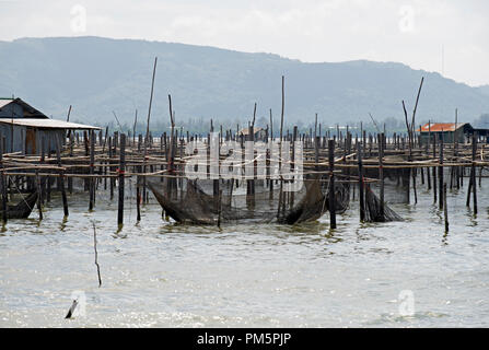 Thailand, Songkhla, Koh Yo, Aquacultural farm, Freshwater fish farming Stock Photo