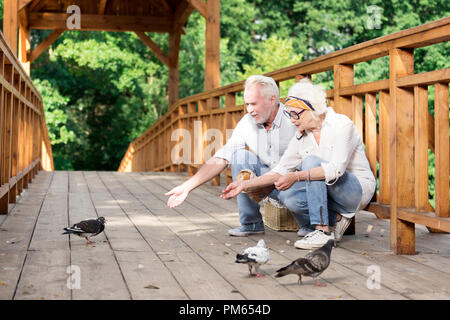 Kind senior people sitting on the bridge and feeding pigeons Stock Photo