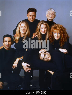 Film Still from 'Suddenly Susan' David Strickland, Brooke Shields, Nestor Carbonell, Andrea Bendewald, Judd Nelson, Barbara Barrie, Kathy Griffin 1996   File Reference # 31042217THA  For Editorial Use Only - All Rights Reserved Stock Photo