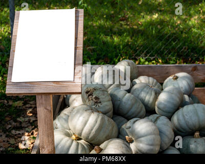 Image of close up view on crown-prince pumpkins Stock Photo