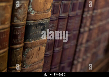 Old Books in Library Stock Photo