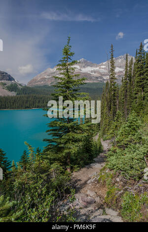 A hiking path winds through the forest high above a turquoise blue lake with snowy mountains in the distance Stock Photo