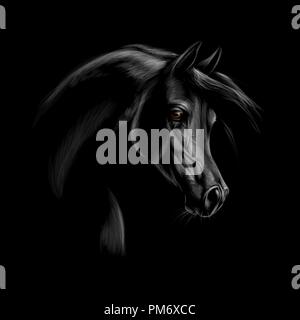 Portrait of an Arabian horse head on a black background. Stock Vector