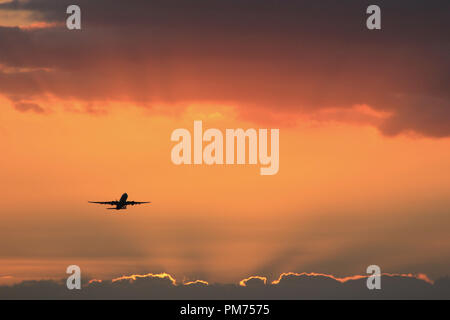 Airplane taking off in the sunset Stock Photo