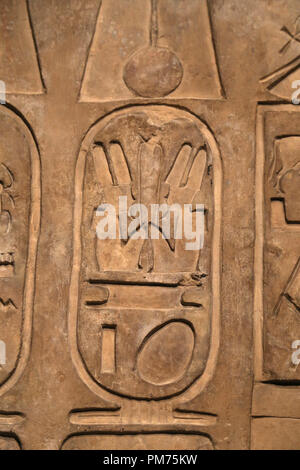 Detail of intel . Cartouche of Siamun (6th Pharaon Dynasty 21) flanked on either side byAnkhefenmut. 978-959 BC, Stock Photo