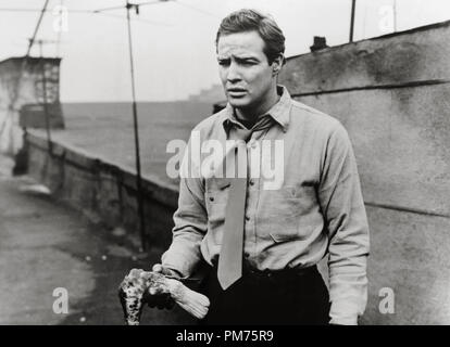 Marlon Brando, 'On the Waterfront', 1954 Columbia File Reference # 30928 713THA Stock Photo