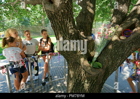 Survivor tree memorial hi-res stock photography and images - Alamy