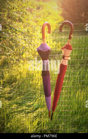 Two closed umbrellas hang on the fence in the spring garden Stock Photo
