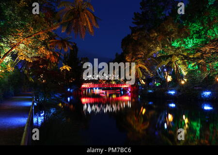Festival of Lights in New Plymouth New Zealand Stock Photo Alamy