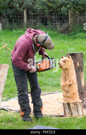 chain saw bear wood-