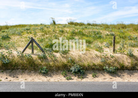 The sand dune between the du Guesclin beach and the seaside road, covered with wild grasses and protected by a wire fence with wooden posts. Stock Photo